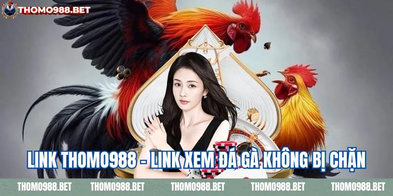 Link THOMO988 mới nhất, không bị chặn